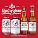Budweiser Beer, 24 Pack Beer, 12 FL OZ Bottles