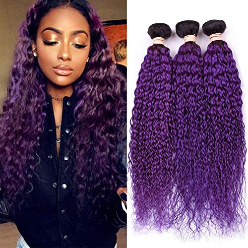 Tony Beauty Hair #1B/Purple Ombre Curly Human Hair Bundles Deals 3Pcs Lot Jerry Curly Ombre Purple Brazilian Human Hair Weave Extensions Dark Roots Double Wefts 10-30" Mixed Length (14 16 16) #TOP24