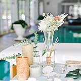 50 Diffuser Sticks Reed Diffuser Sticks Reeds for Diffusers - 25 * 0.3cm, Home & Office Fragrance - Image 7