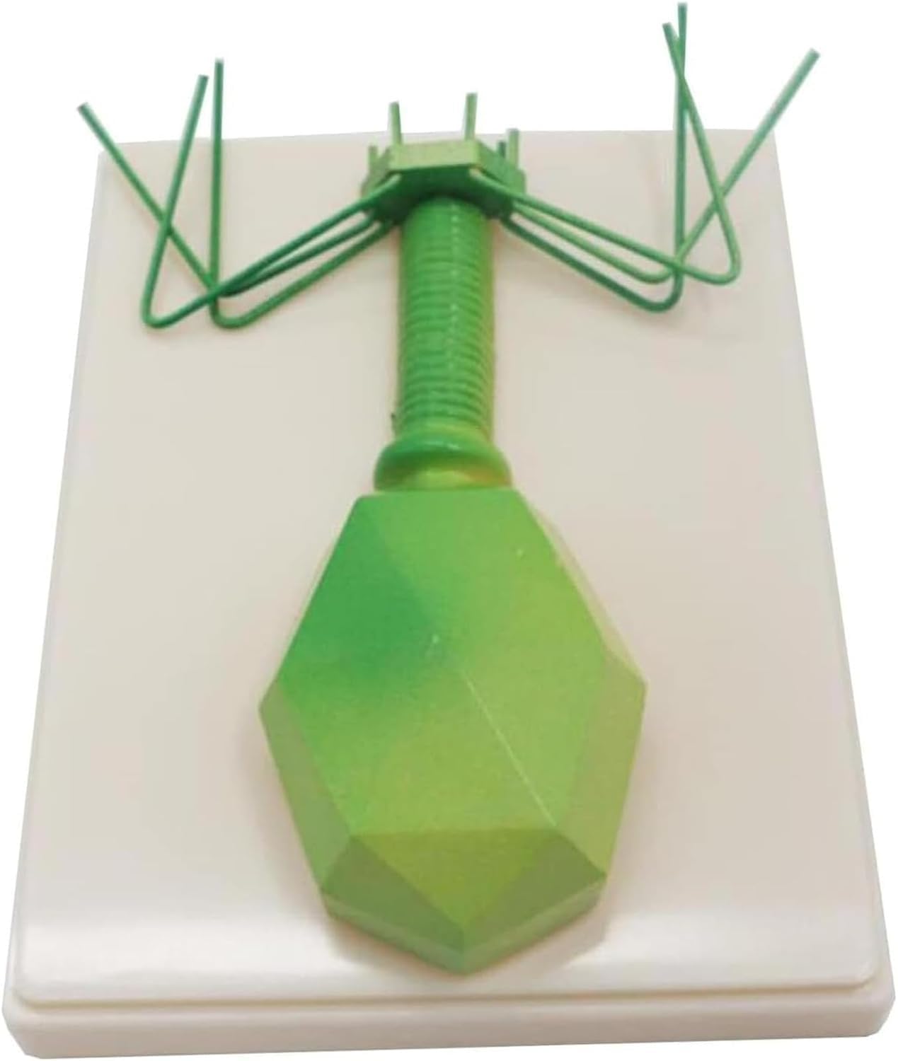 Anatomisches Modell des Phagenvirus, biologisches Phagenvirus-Strukturvergrößerungsmodell, Biologie-Lehrmittel for die Mittelschule, for die Anzeige von Studien im naturwissenschaftlichen