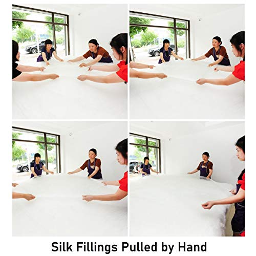 Cuddle Dreams Silk Comforter For Spring/Summer/Fall, 100% Long-Strand Silk Filling, Natural & Breathable (King, 102 In X 90 In) #TOP5