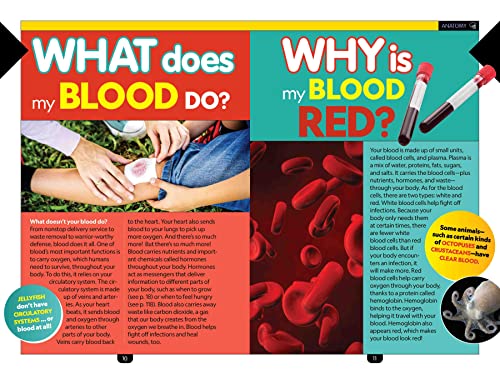 Why? The Human Body - Image 2