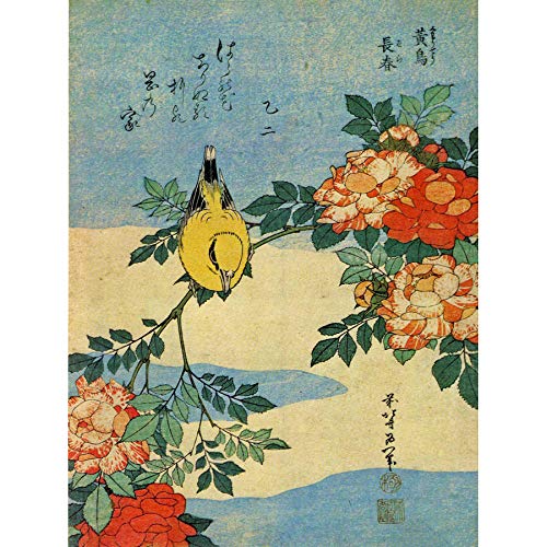 Wee Blue Coo Painting Animals Bird Yellow Finch Flowers Japanese Japan Large Art Print Poster Wall Decor 18x24 inch