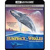 Imax: Humpback Whales [Blu-ray]