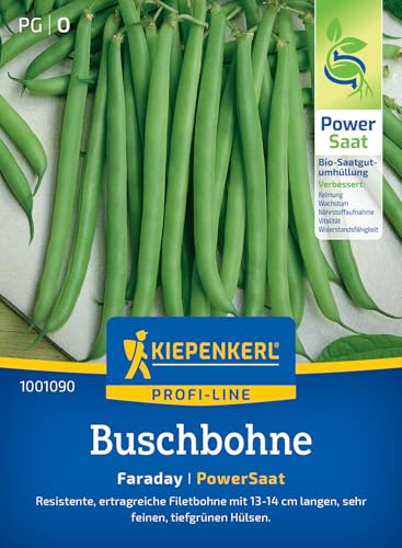 Kiepenkerl Profi-Line Buschbohnensamen Faraday 1001090 Gemüsesamen für eine resistente Filetbohne mit 13 bis 14 cm langen Hülsen und Inhalt für 5 bis 7 qm