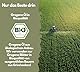 EXVital® Bio Oregano Öl, 60 vegane Flüssigkapseln, 100mg wildes Berg Oregano Öl & 400mg Bio Oliven Öl aus Griechenland, 80% Carvacrol, Ohne Zusätze & Laborgeprüft