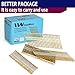 HW HAMWOO Framing Nails,21°Round Head Nail Pack,1000-Pack (2