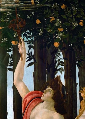 Imagen Lienzo Primavera di Sandro Botticelli YIMACBJXX para Dar Vida a Paredes Vacías 60x90