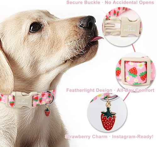 Maca Bates Pink Strawberry Basic Dog Collar for Medium Girl Boy Dogs with Cute Strawberry Charm,Strawberries Pattern, Adjustable Durable Soft Blueberry Birthday Gift Collars for Male Female Puppy - 5