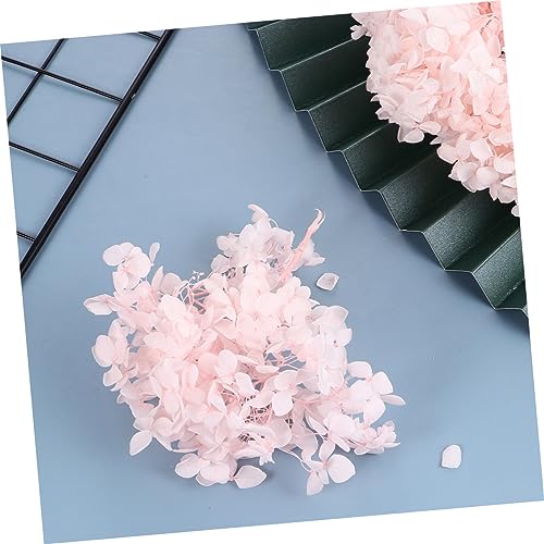 Pétalos eternos secos de hortensia para decoración miniatura 7