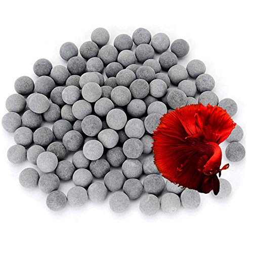 Hikari Tropical Algae Wafers Fish Food [Set of 2] Size: 0.70 Ounce