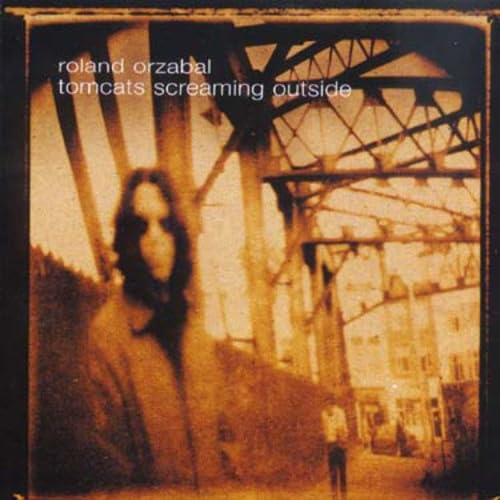 Tomcats Screaming Outside