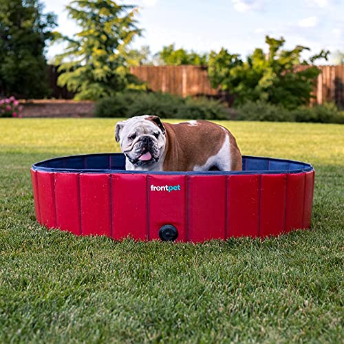 Frontpet Piscina dobrável para cães – Piscina dobrável para animais de estimação, banheira e piscina