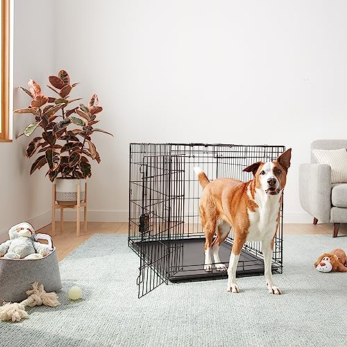 Amazon Basics Zusammenklappbarer Hundekäfig aus Metalldraht mit Bodenschale, Einzeltür, 106.7 x 71.1 x 76.2 cm (L x W x H), Schwarz