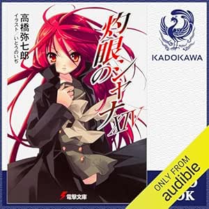  [14巻] 灼眼のシャナXIV: (KADOKAWA) 