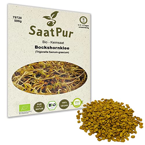 500g BIO Keimsprossen Bockshornklee Samen Sprossenanzucht Kressesamen Mikrogrün Microgreens