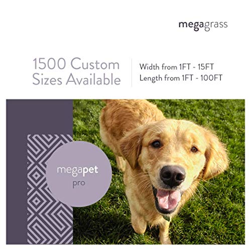 MEGAGRASS 3 x 6 Feet MegaPet Pro Artificial Grass for Pet Turf and