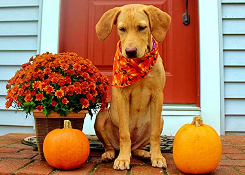 Kzhareen 4 Pcs/Pack Halloween Dog Bandana Pumpkin Reversible Triangle Bibs Scarf Accessories For Dogs Cats Pets Large #TOP4