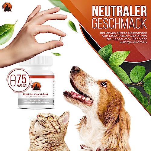 Vitalpfoten 75 MSM Pet Vital Gelenk Kapseln für Hunde und Katzen, hochreines Methylsulfonylmethan für Knochen, Knorpel, Bindegewebe