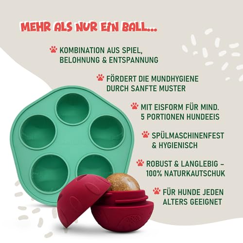 SmoothieDog Schleckball + SmoothieDog Hundesmoothie 6er Mix Klassik - Schleckball für Hunde, Snackball, zur Beschäftigung, bpa frei, robust, befüllbar, zum einfrieren, spülmaschinenfest