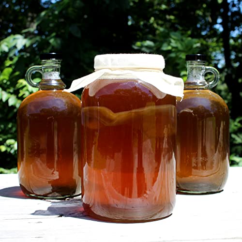 Cornucopia 1 Gallon Glass Kombucha Jar W/Cotton Cloth Cover & Plastic Lid For Storage After Brewing #TOP3