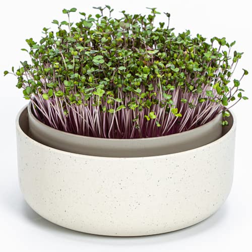 Urbalive große Keimschale 16cm - Kresse Anzuchtschale für Sprossen, Kressesamen, Microgreens - Design Kressesieb aus hochwertigem Kunststoff - Keimsprossenbox Keimgerät mit Kaffeesatz-Beimischung