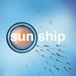 Sun Ship by Brian Jonestown Massacre — album cover