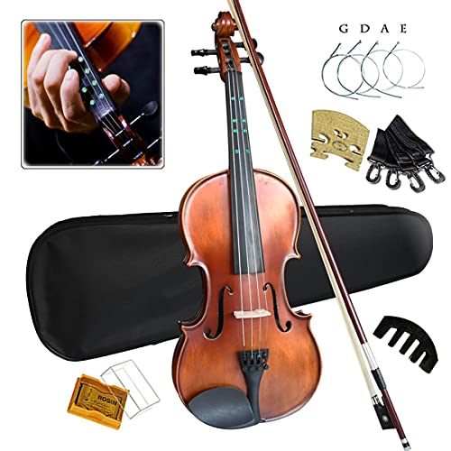 12 Best Beginner Violin For Adults In 2023 [Latest Updated]