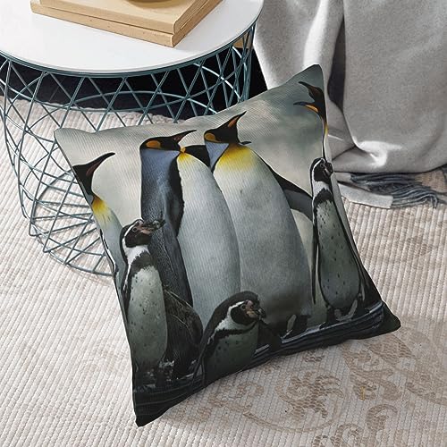 Housse de coussin velours côtelé pingouin décoration canapé lit
