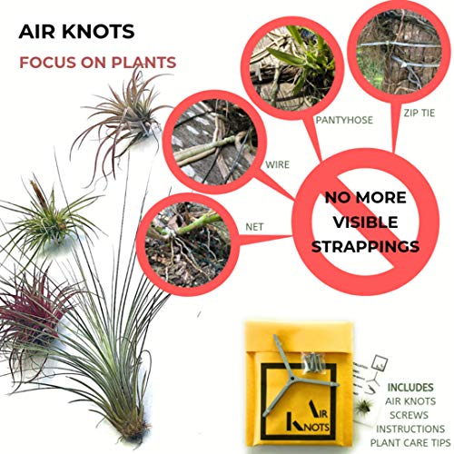 Wall Planter Set Of 5 Wall Air Plant Holder Wall Terrarium| Orchid Mount Airplant Holder Air Plant Containers| Hanging Orchid Planter| Wall Mounted Plant Hook| Wall Plant Mount For Tree Air Knots G5 #TOP2