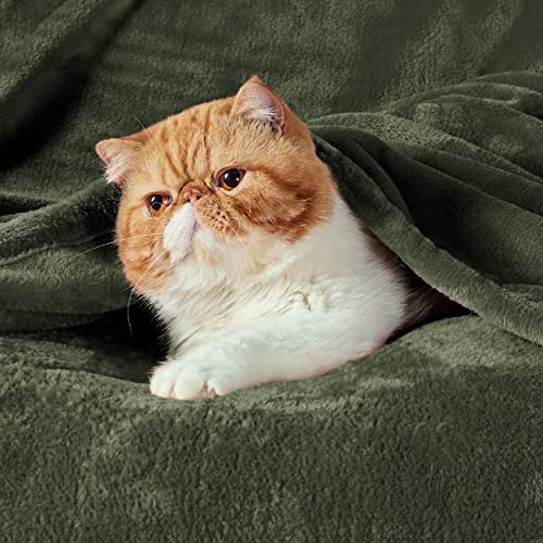image for Bedsure GentleSoft Fleece Blanket Twin Size Olive Green - 300GSM Light