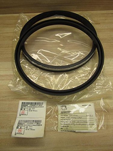 302-1020-000 Piston Packing Ring 3021020000 (Pack of 2)