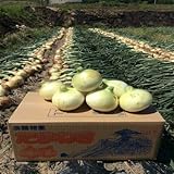 カツラギ農園 淡路島産 新玉ねぎ たまねぎ 5kg 【L～Mサイズ 】