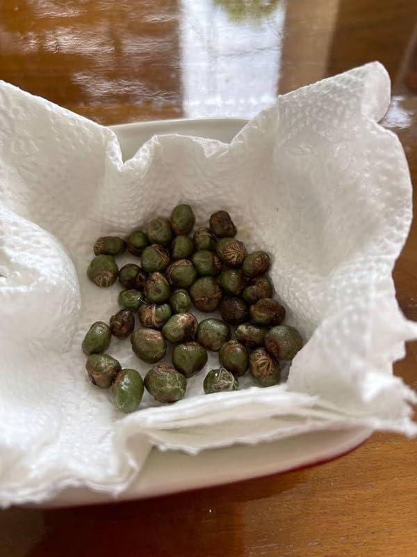 Kadi Patta leaves seeds Pack Of 12 (B0CN19SCHM) Amazon Price History, Amazon Price Tracker