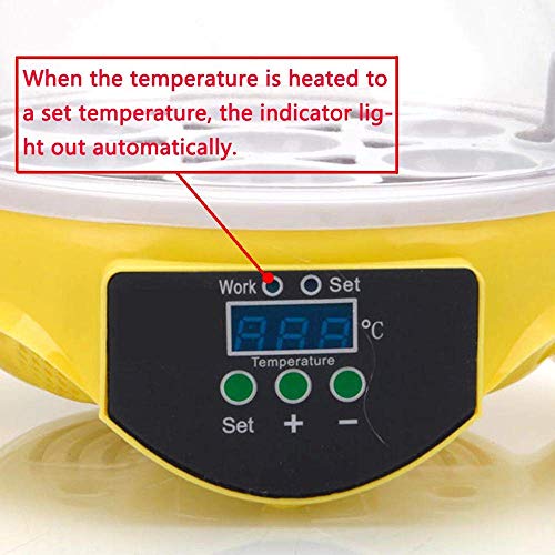 WXHN Inkubator-Set für Kinder, Eier-Inkubator mit Temperaturregelung Klar Allzweck für Inkubatoren Enten Gänse Vögel… – Bild 6