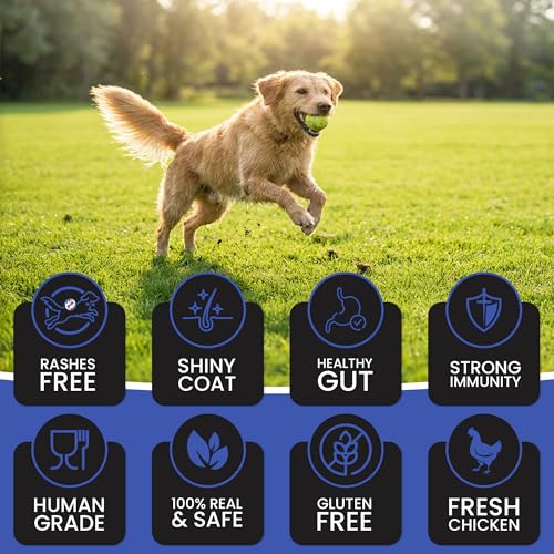 Image of Dr. Pets Pack of 2 (900g Each) Bistik Dog Biscuits Apple Banana Flavor | Gluten Free Dog Treats | Crunchy Daily Snacks for Puppies & Adult Dogs | Natural Ingredients | Supports Digestion & Bone Health