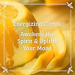 Pharmacopia Citrus Body Lotion - Hydrating Natural Moisturizer with Aromatherapy Benefits - Cruelty-Free Vegan Skin Care - Shea Butter, Aloe Vera, and Jojoba Oil - Lotion for Dry Skin, 16 oz - Image 4