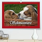 14 Seiten bestehend aus 1 Coverbild | 12 Monatsbilder | 1 Indexseite | Inklusive Cover-Schutzfolie und Einstecktaschen. DIN A2 Maße: 445 x 640 x 20 mm.