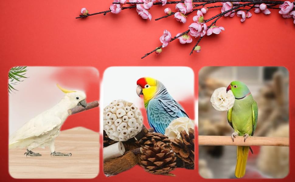 Bird Toys Bird Foraging Shredding Chewing Parrot Foraging Shredding Toys Chewing Toy Birdcage Accessories for Conures Caiques Cockatiel Budgies Parakeet and Small to Medium Birds - image 6