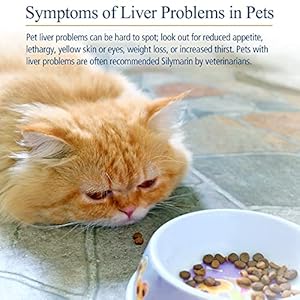 Rx Vitamins Hepato Support for Dogs & Cats - Milk Thistle Supplement for Pets - 100mg Milk Thistle for Healthy Liver Function - Silymarin Capsules for Pets - 180 ct. Rx Vitamins Hepato Support for Dogs Cats Milk Thistle Supplement for Pets 100mg Milk Thistle for Healthy Liver Function Silymarin Capsules for Pets 180 ct