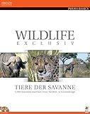  Wildlife exclusiv, CD-ROMs Tiere der Savanne. Für Windows 98 SE/ME/XP/2000/NT 4 mit SP6. 5000 lizenzfrei nutzbare Fotos für Web- & Screendesign