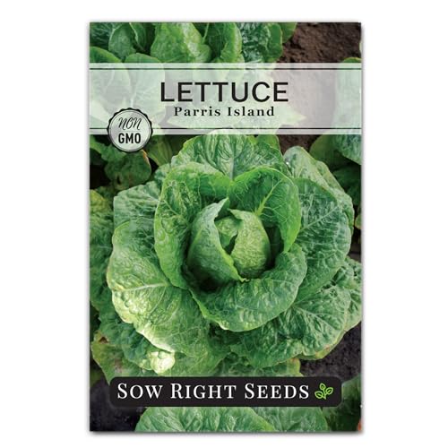 Sow Right Seeds - Parris Island Lettuce Seeds for Planting - Non-GMO Heirloom Romaine Variety - Ideal for Outdoor Fall and Spring Gardens or Indoor Hydroponics - Green Leaf Lettuce for Salad (1)