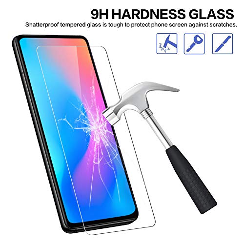 Vetro Temperato Xiaomi Mi 9T / Mi 9T PRO [3