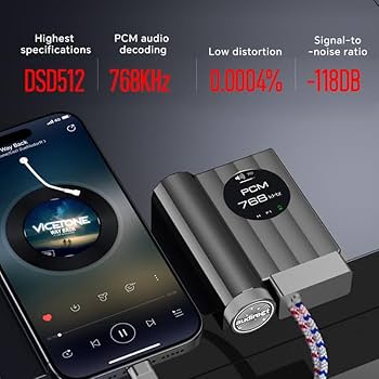 Amazon.co.jp: LEAUDIO AUDIRECT Team1 MegaSafeバージョン