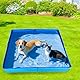 Hundepool Katzenpool Mit 6 Fischen Spielzeug, 50x50x10cm Hundebadewanne Faltbare Mini Hunde Pool Aus PVC, Planschbecken Hund, Schwimmbecken Für Kleine Hunde Katzen Haustiere (Blau)