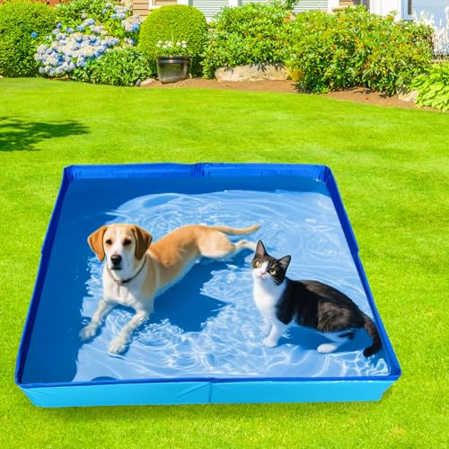 Hundepool Katzenpool Mit 6 Fischen Spielzeug, 50x50x10cm Hundebadewanne Faltbare Mini Hunde Pool Aus PVC, Planschbecken Hund, Schwimmbecken Für Kleine Hunde Katzen Haustiere (Blau)