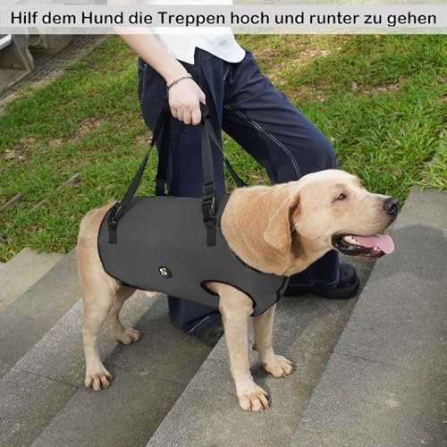 Coodeo Hundeliftgeschirr, Haustierunterstützung & Rehabilitation Sling Lift Verstellbare Gepolsterte atmungsaktive Gurte für Alt, Gelenkverletzungen, Arthritis, Stabilitätsverlust Hunde(Schwarz, 2XL)
