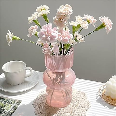 JSPYFITS Glass Hydroponic Flower Vase Cover