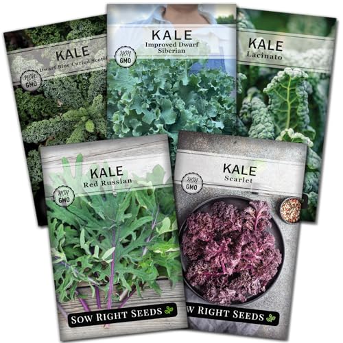 Sow Right Seeds - Kale Seed Collection for Planting - Non-GMO Heirloom Packet with Instructions to Plant and Grow a Home Vegetable Garden, Great Gardening Gift
