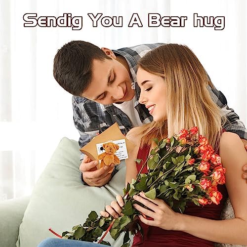 A Little Pocket Bear Hug, Pocket Hug Gift Sending You a Pocket Bear Hug, Pocket Hugs for Children, Pocket Hugs for Friends, Thinking of You Gifts, Cheer Up Gifts for Women Kids, Get Well Soon Gifts